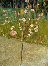 Obraz Vincenta van Gogha s kvetoucím stromem.