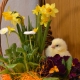 Velikonoční košík s květinami a kuřetem.